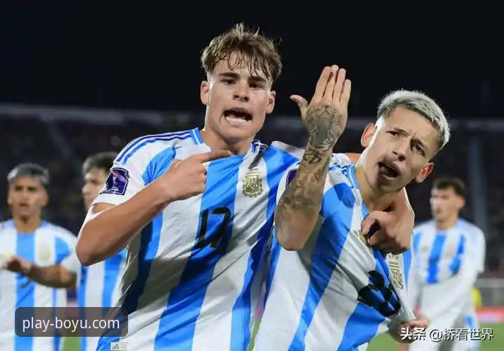 博鱼体育一键下载对比 阿根廷新星重伤无缘世界杯:博鱼体育平台赛事信息深度评测与战术影响分析