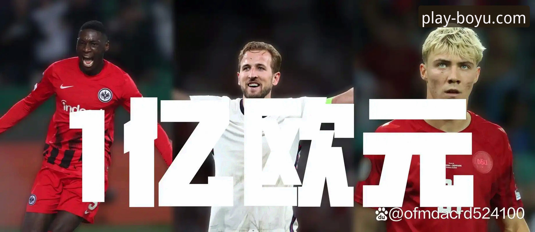 博鱼体育平台最新动态：优惠信息必备指南大公开