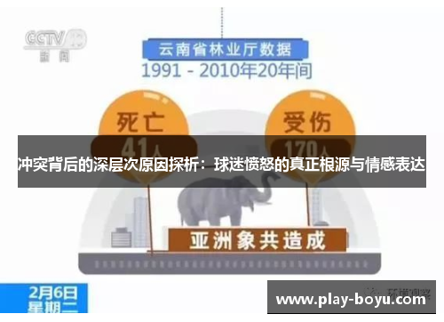 冲突背后的深层次原因探析：球迷愤怒的真正根源与情感表达
