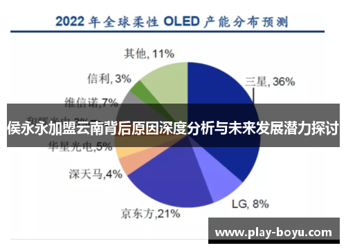 侯永永加盟云南背后原因深度分析与未来发展潜力探讨