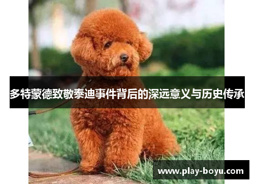 多特蒙德致敬泰迪事件背后的深远意义与历史传承