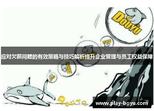 应对欠薪问题的有效策略与技巧解析提升企业管理与员工权益保障