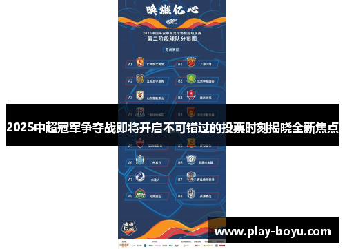 2025中超冠军争夺战即将开启不可错过的投票时刻揭晓全新焦点