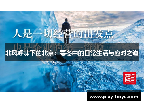 北风呼啸下的北京：寒冬中的日常生活与应对之道