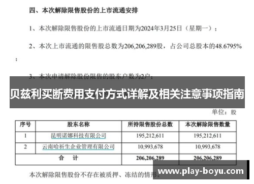 贝兹利买断费用支付方式详解及相关注意事项指南
