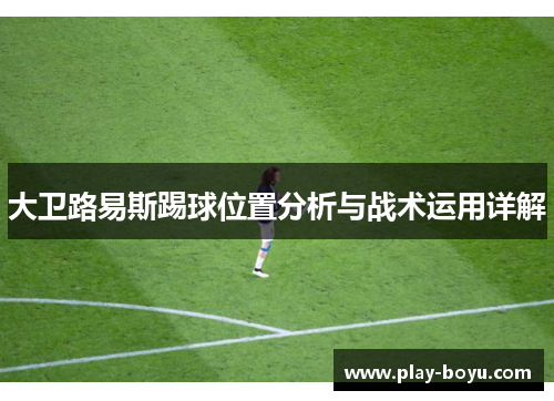 大卫路易斯踢球位置分析与战术运用详解